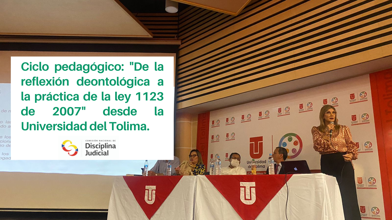Ciclo pedagógico - Universidad del Tolima